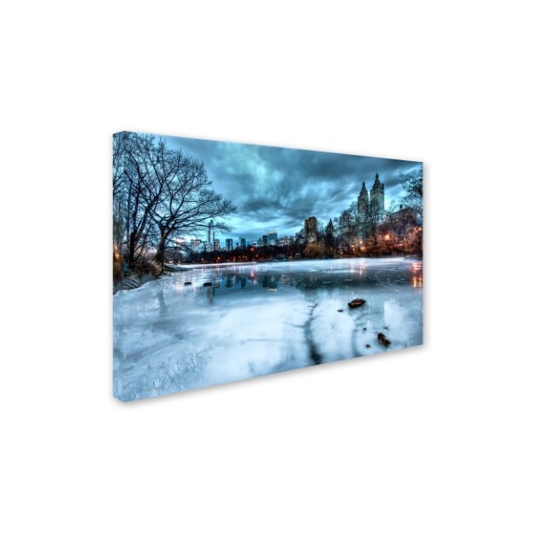 David Ayash 'Frozen Central Park Lake II' Canvas Art,30x47